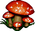 Pilzchen
